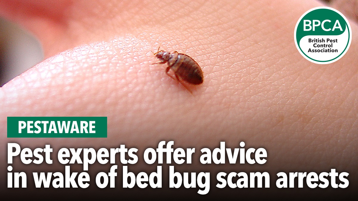 bedbug scam arrests bedbug scam arrests